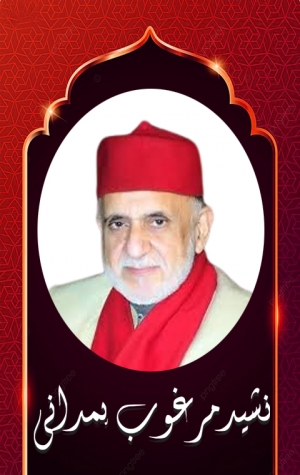 Marghoob Hamdani